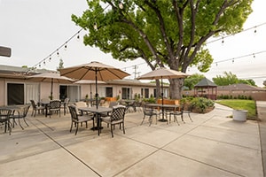 outdoor patio, courtyard, and shaded seating area
